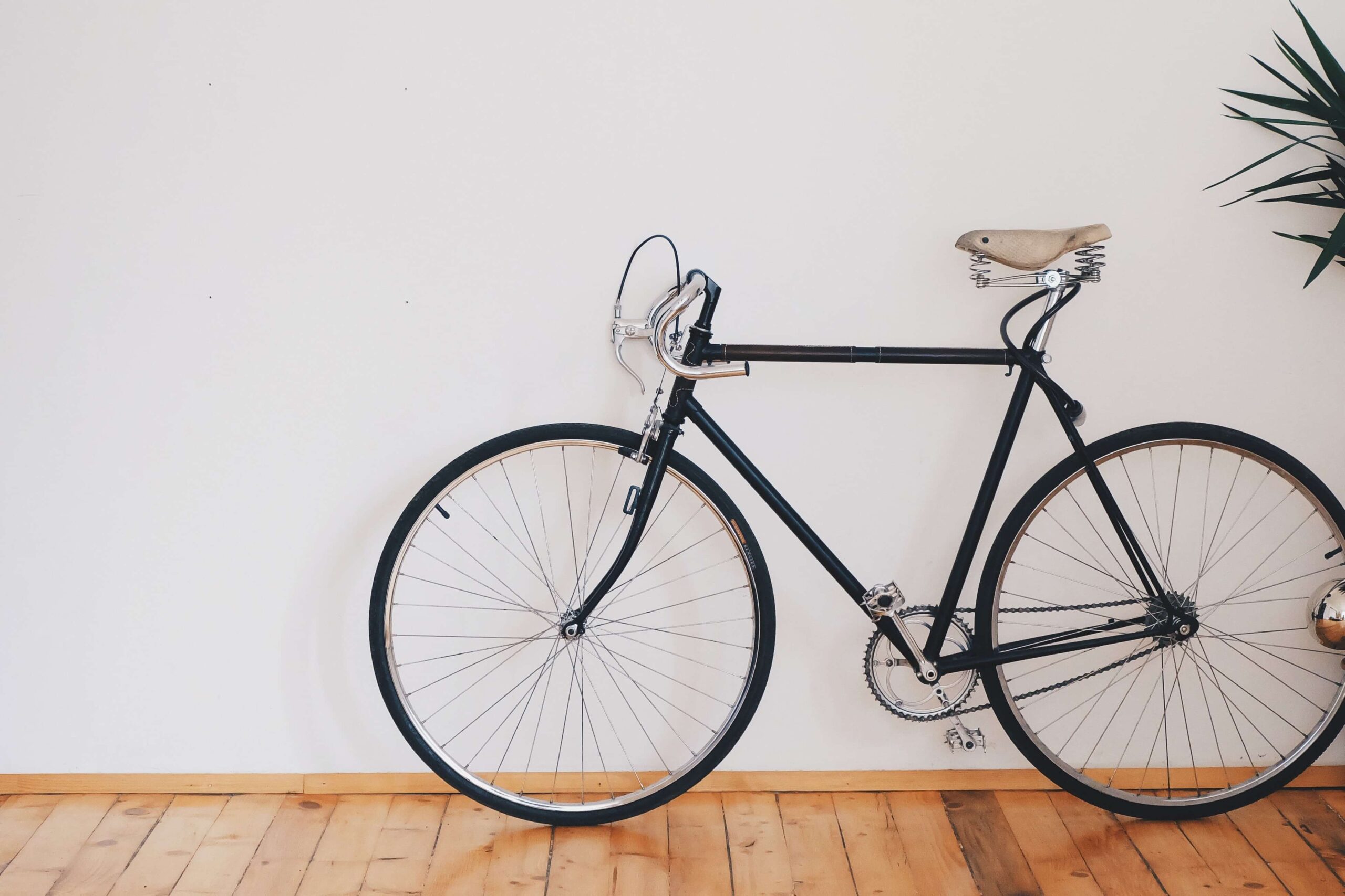 3-Speed Bike 3-Speed Bike – תמונה 1
